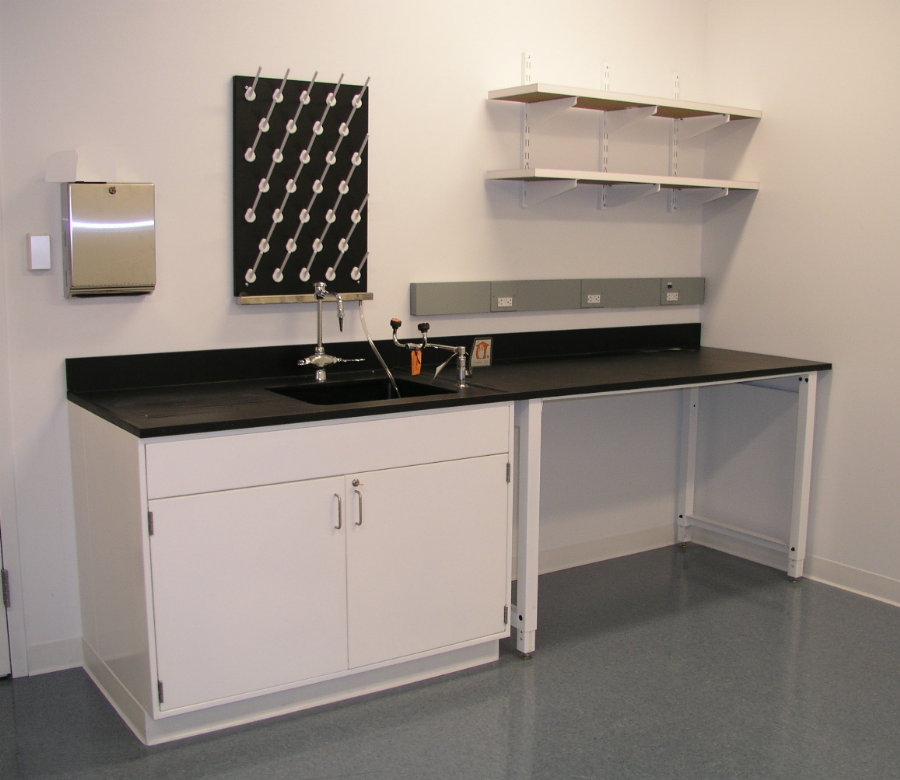 Lab Cabinet with sink
